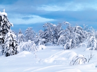 Lappland